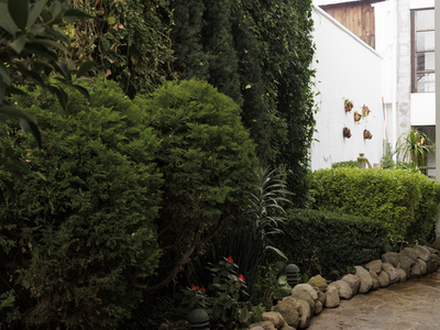 Jardin Pergola