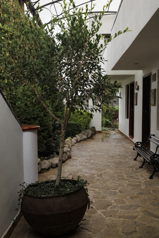 Jardin Pergola - Imagen 2