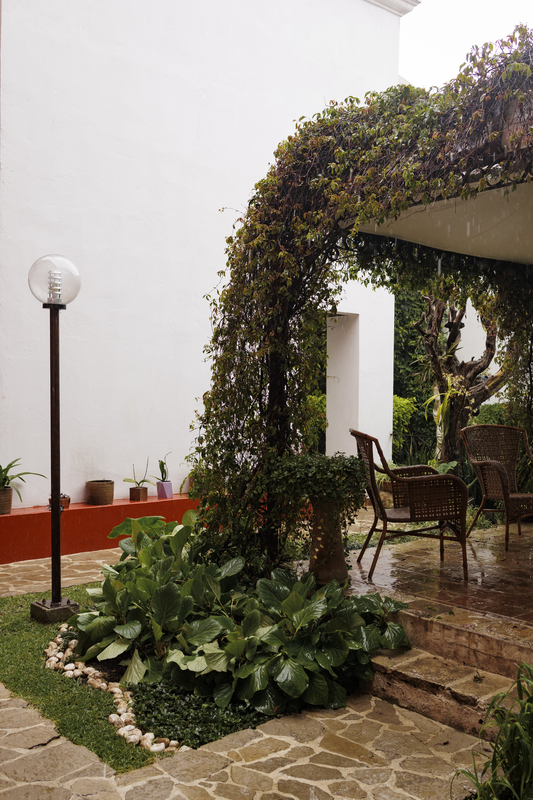 Jardin Pergola - Imagen 5