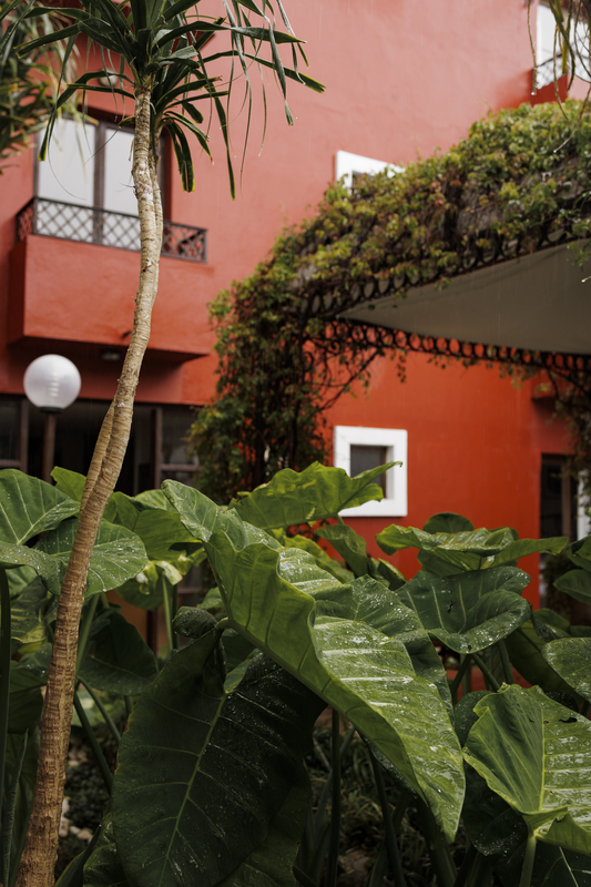 Jardin Pergola - Imagen 6