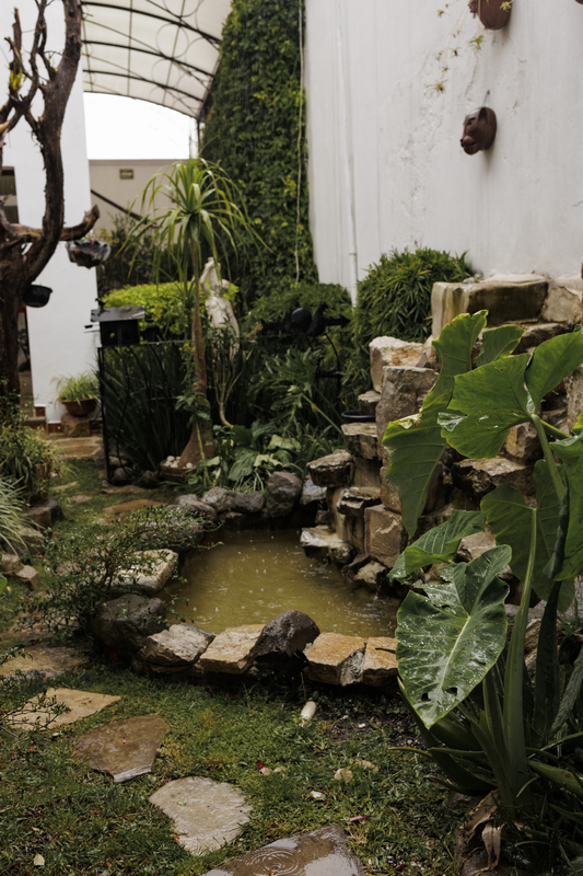 Jardin Pergola - Imagen 7