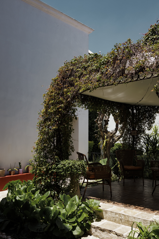 Jardin Pergola - Imagen 9