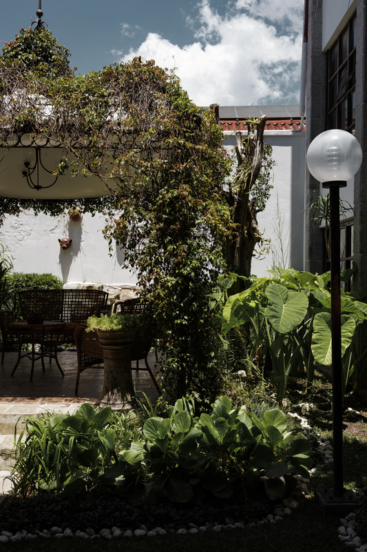 Jardin Pergola - Imagen 10