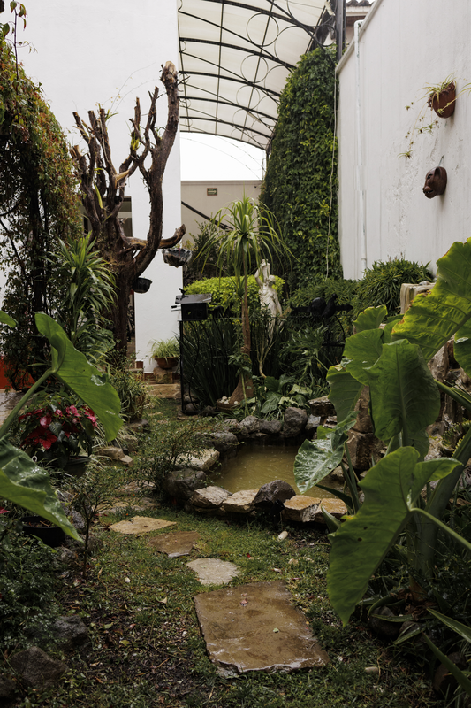 Jardin Pergola - Imagen 8