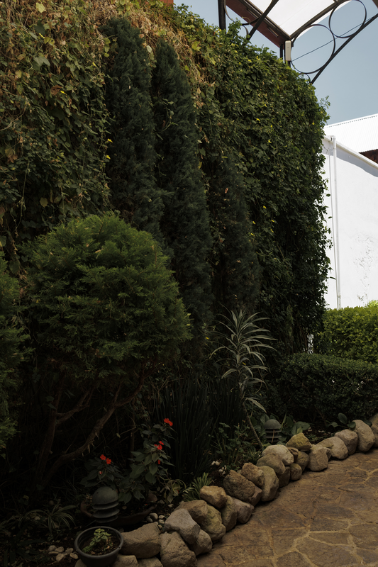 Jardin Pergola - Imagen 11